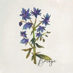 4-Piece Floral Canvas Wall Art Set, 10" -Modern Decor Shop 4 piece floral canvas wall art set 10 5