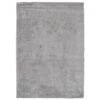 (C139) Grey Soft Shag Accent Rug, 3x5