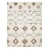 (C184) Found & Fable Alton Ivory Shag Area Rug, 5x7