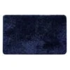 (C196) Eve Blue Shag Accent Rug, 3x5
