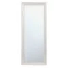 Champagne Barb Framed Wall Mirror, 24x58