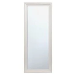 Champagne Barb Framed Wall Mirror, 24x58