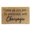 Champagne Coir Mat, 18x30