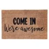 Come In We're Awesome Coir Mat, 18x30