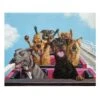 Dogs Rollercoaster Canvas Wall Art, 16x12