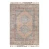 (E336) Honeybloom Anna Vintage Medallion Fringe Outdoor Area Rug, 5x7