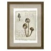 Honeybloom Glass Framed Mushroom Print Wall Art, 13x17