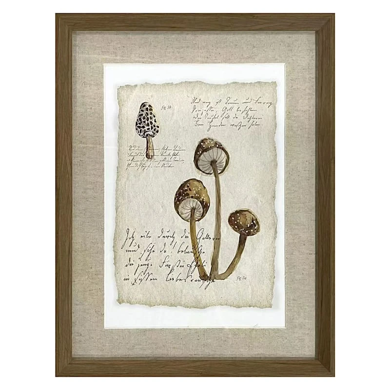 Honeybloom Glass Framed Mushroom Print Wall Art, 13x17 1 Honeybloom Glass Framed Mushroom Print Wall Art, 13x17
