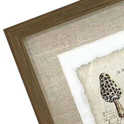 Honeybloom Glass Framed Mushroom Print Wall Art, 13x17 6 Honeybloom Glass Framed Mushroom Print Wall Art, 13x17 -Modern Decor Shop honeybloom glass framed mushroom print wall art 13x17 3