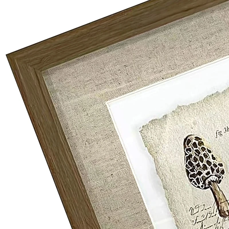 Honeybloom Glass Framed Mushroom Print Wall Art, 13x17 3 Honeybloom Glass Framed Mushroom Print Wall Art, 13x17 - Image 3