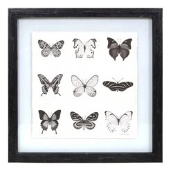 Laila Ali Glass Framed Butterfly Print Wall Art, 15"