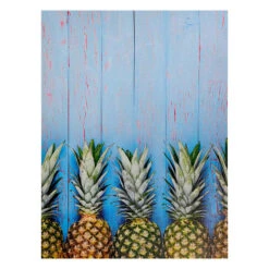 Pineapple Stack Canvas Wall Art, 24x18