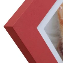 Tiny Dreamers Multicolored Collage Photo Frame, 9x17 -Modern Decor Shop tiny dreamers multicolored collage photo frame 9x17 5