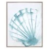 Ty Pennington Framed Seashell Canvas Wall Art, 16x20