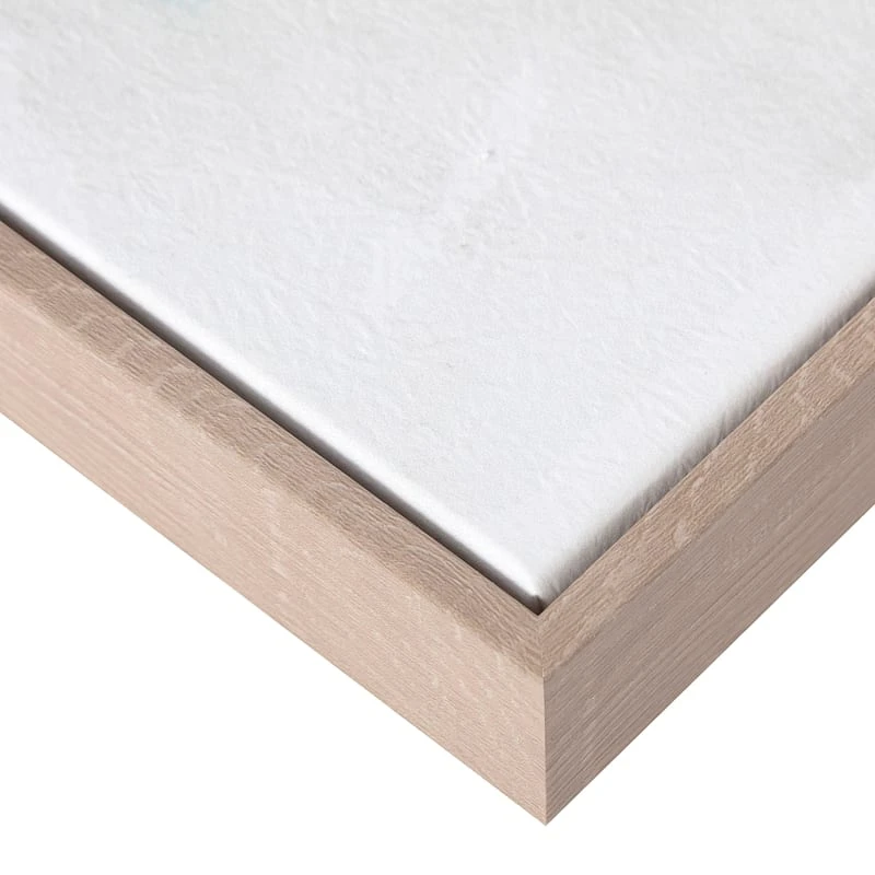 Ty Pennington Framed Seashell Canvas Wall Art, 16x20 5 Ty Pennington Framed Seashell Canvas Wall Art, 16x20 - Image 5